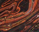 Polished Tiger Iron Stromatolite - ( Billion Years) #64008-1